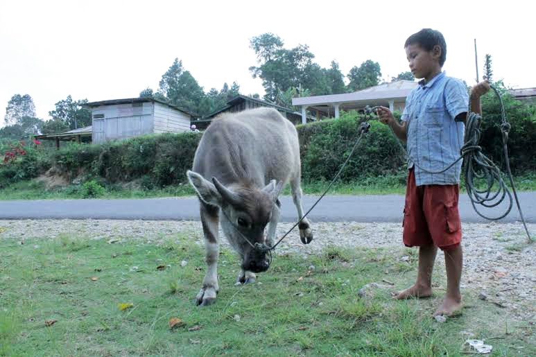 Humbahas - Boy and his pet1