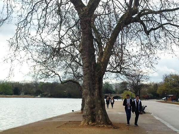 Hyde Park4