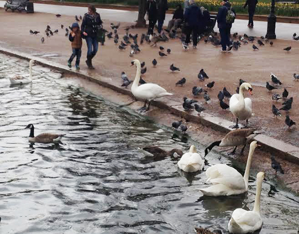 Hyde Park6