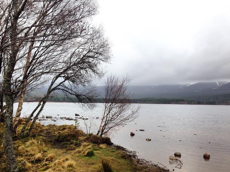 Loch Morlich5