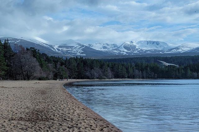 Loch Morlich6