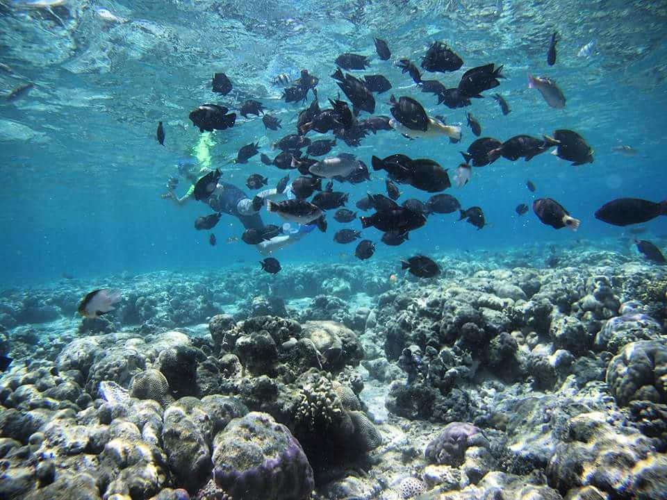 Pulau Lembeh_Snorkeling