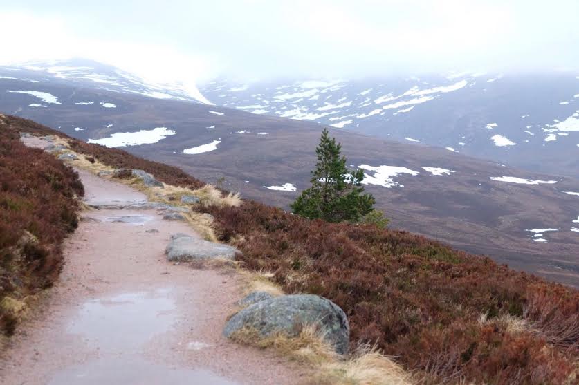 Cairngorm Mountain1