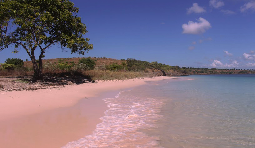 Pink Beach_Photo_Vibizmedia