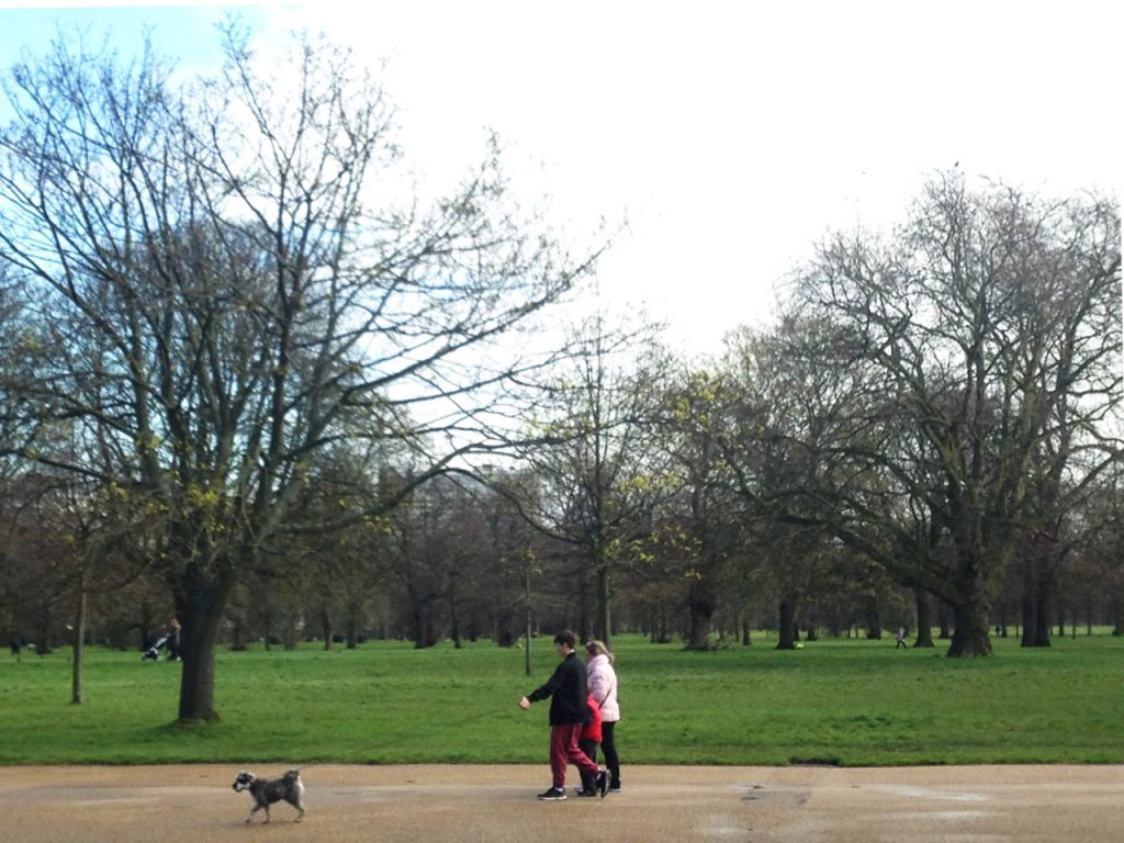 Walking at Hyde Park
