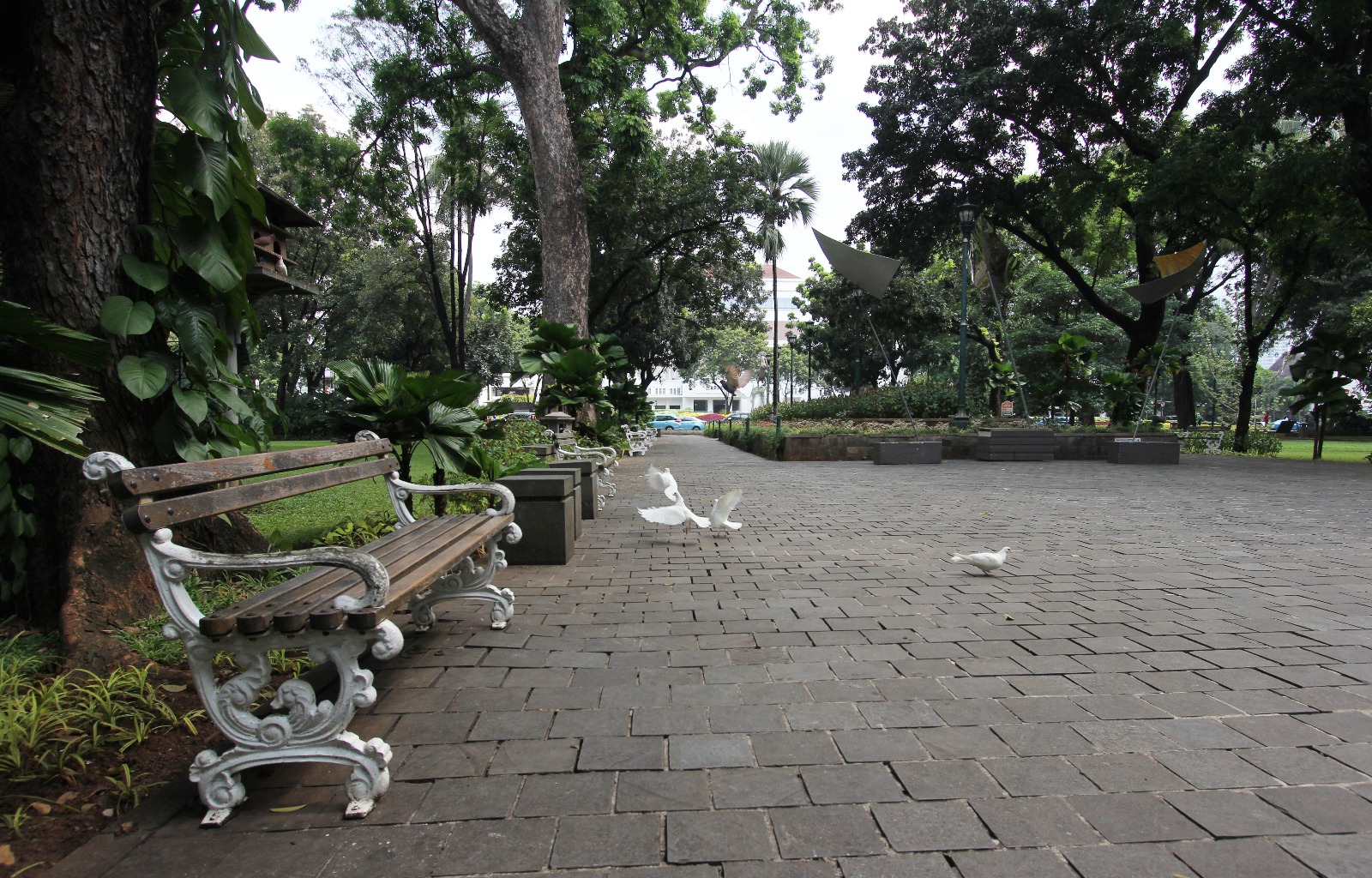Suropati Park7