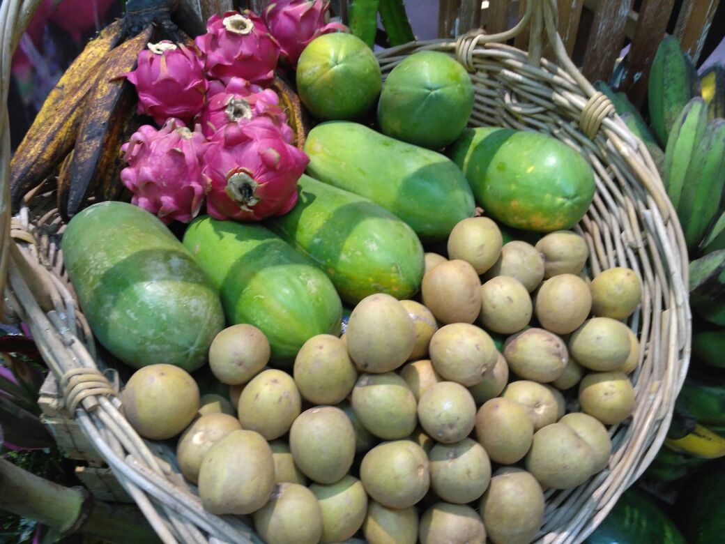 Pencanangan Gemar Makan Buah Nusantara dalam rangka Fruit Indonesia 2016 (Photo: Rully/ Vibizmedia.com)