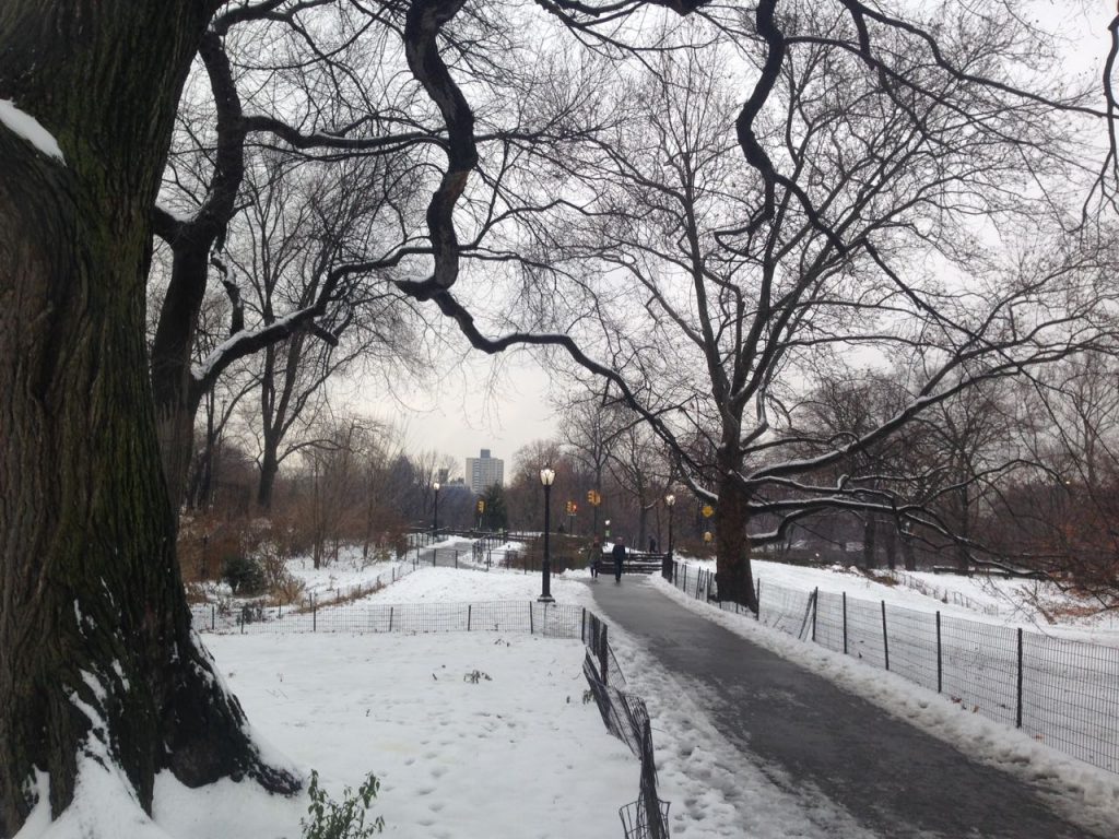 Salju di Central Park New York. FOTO : VIBIZMEDIA.COM/FANNY SUE