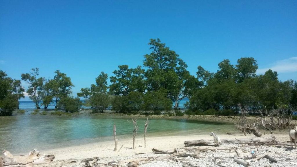 Pantai Sumare2