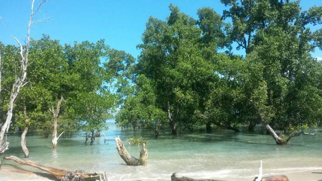 Pantai Sumare3