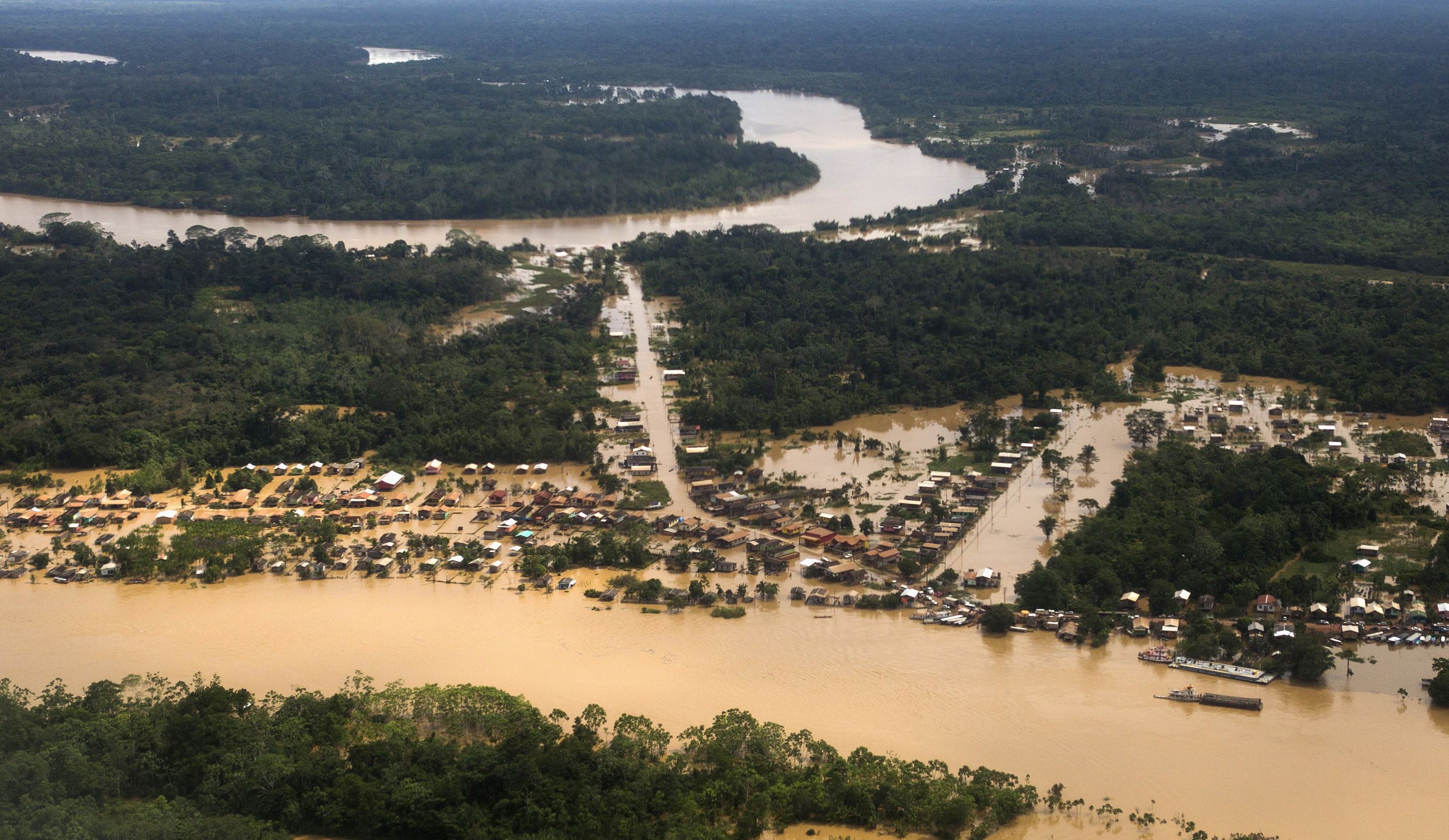 Hutan Amazon