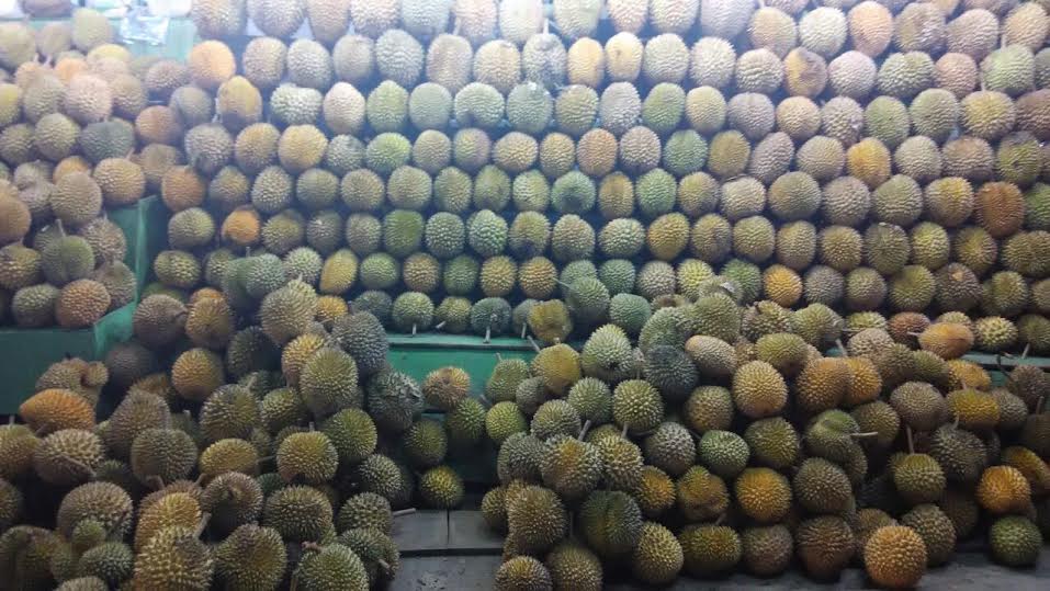 Ilustrasi kedai durian pelawi Medan