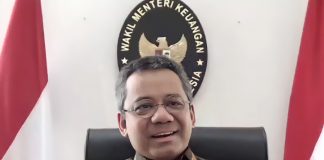 Wakil Menteri Keuangan