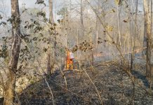 Kebakaran Hutan dan Lahan