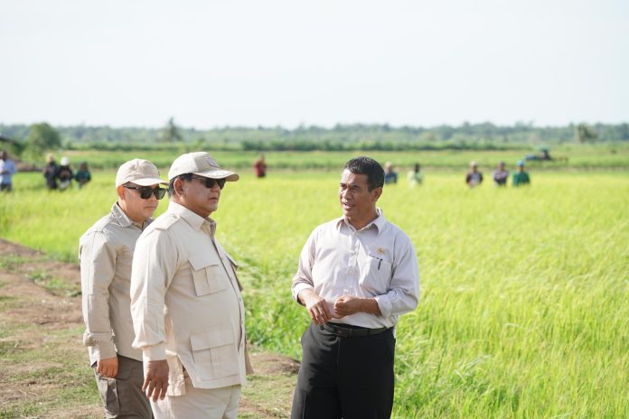 Program Cetak Sawah