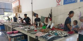 Destinasi Seru di Miri Fish Market Sarawak