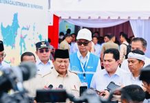 Proyek Ketenagalistrikan